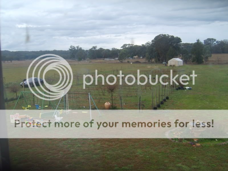 left hand side of my garden