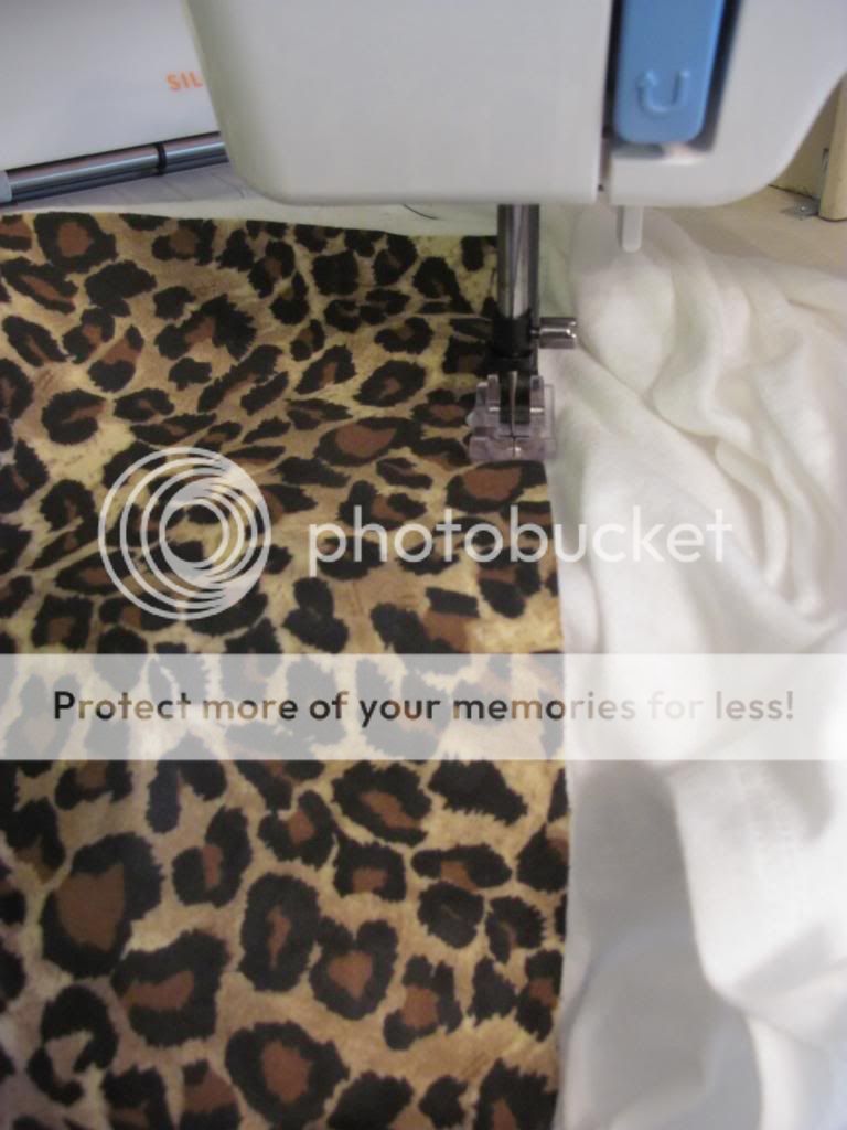 photo IMG_5571_zps2c34b928.jpg