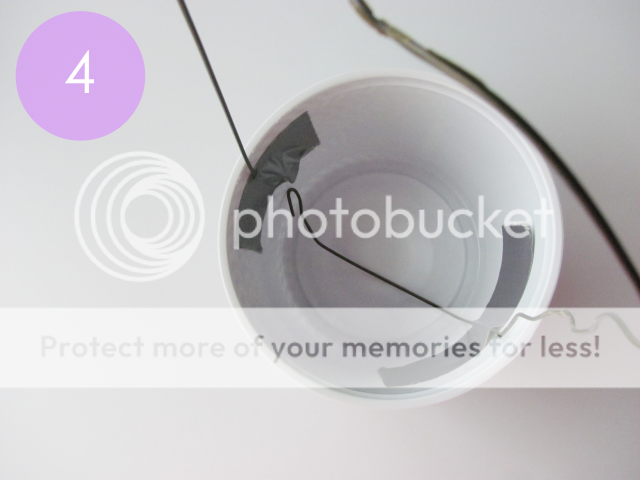 photo IMG_5692_zps0fde297b.png