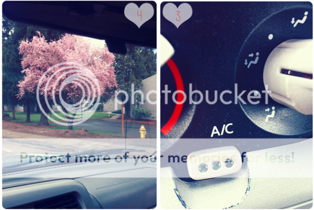 photo springlove2_zps54ba6d00.png