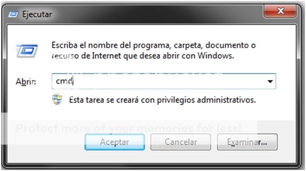 virus virus