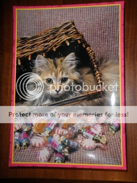 ee06961b-a0f4-438f-88d9-859fc6c2b56d_zps