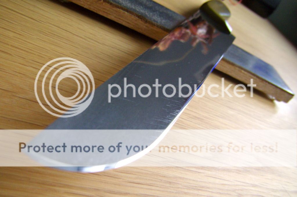 Curved Kitchen Knife