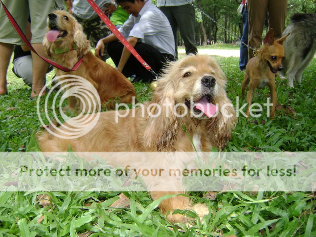 Tập tành chụp ảnh ^__^