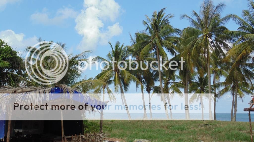 Tập tành chụp ảnh ^__^ - 1