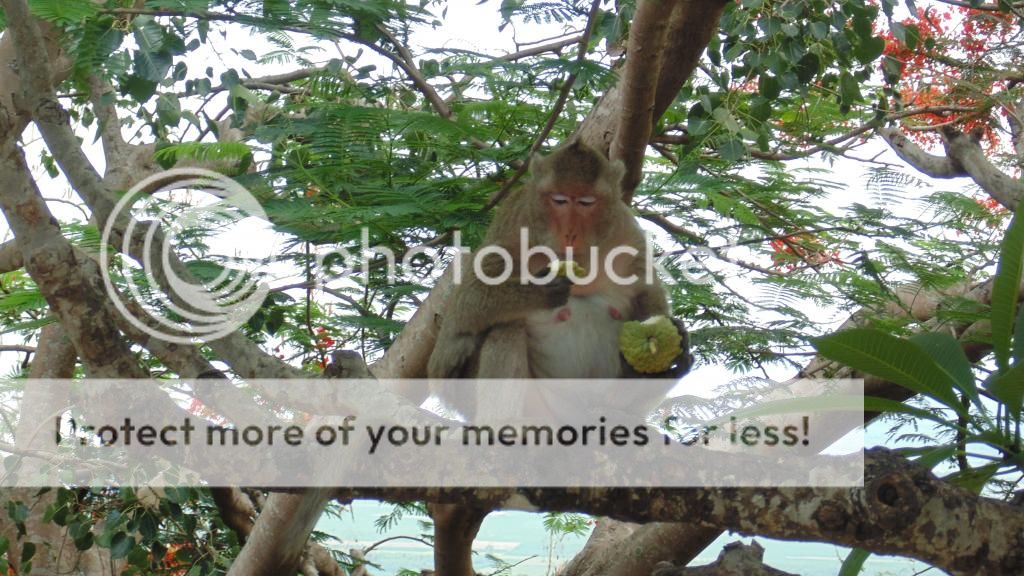 Tiếp theo việc ép nhà thầu Trung Quốc rút về nước, đến lượt các công ty du lịch TQ!