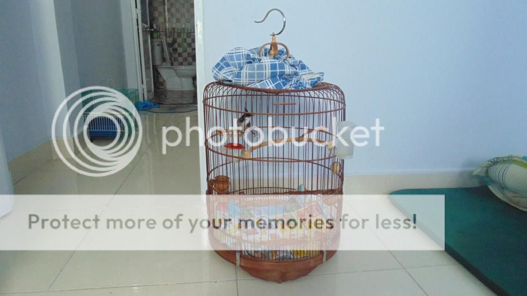 lồng vuông 17nan gỗ muồng