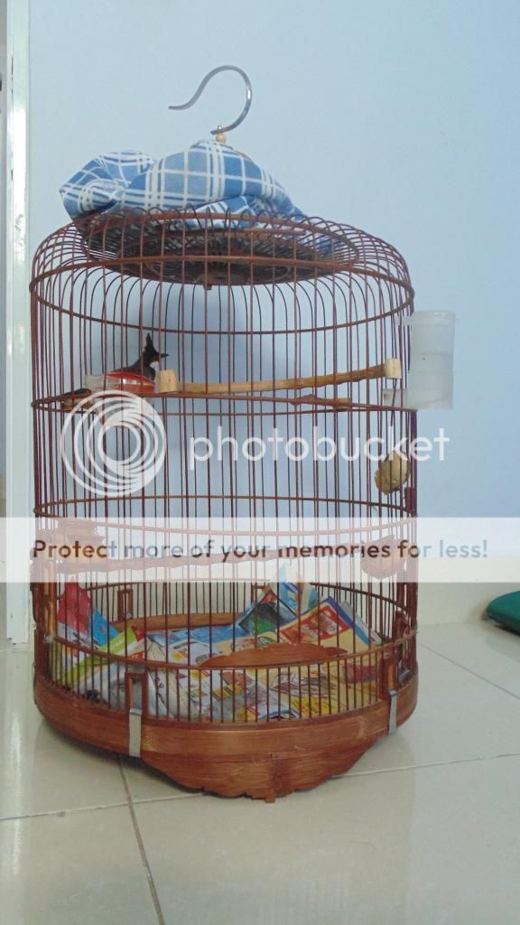 lồng vuông 17nan gỗ muồng - 1