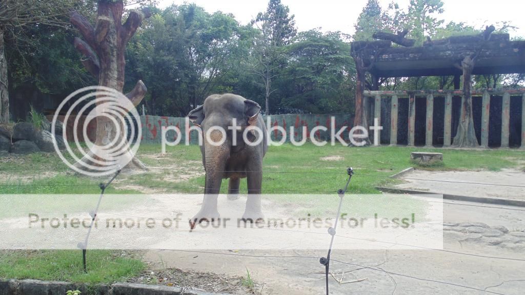 Đại Nam miễn phí đến hết năm. Anh em có thể tranh thủ mấy ngày cuối tuần đi cho biết. - 1