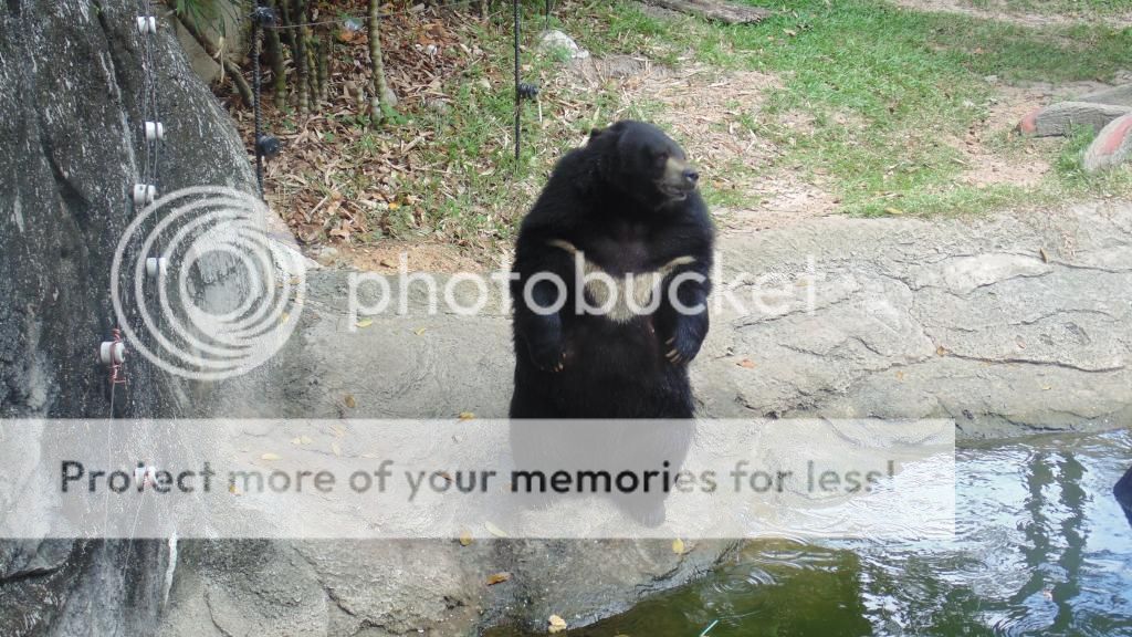 Đại Nam miễn phí đến hết năm. Anh em có thể tranh thủ mấy ngày cuối tuần đi cho biết. - 2