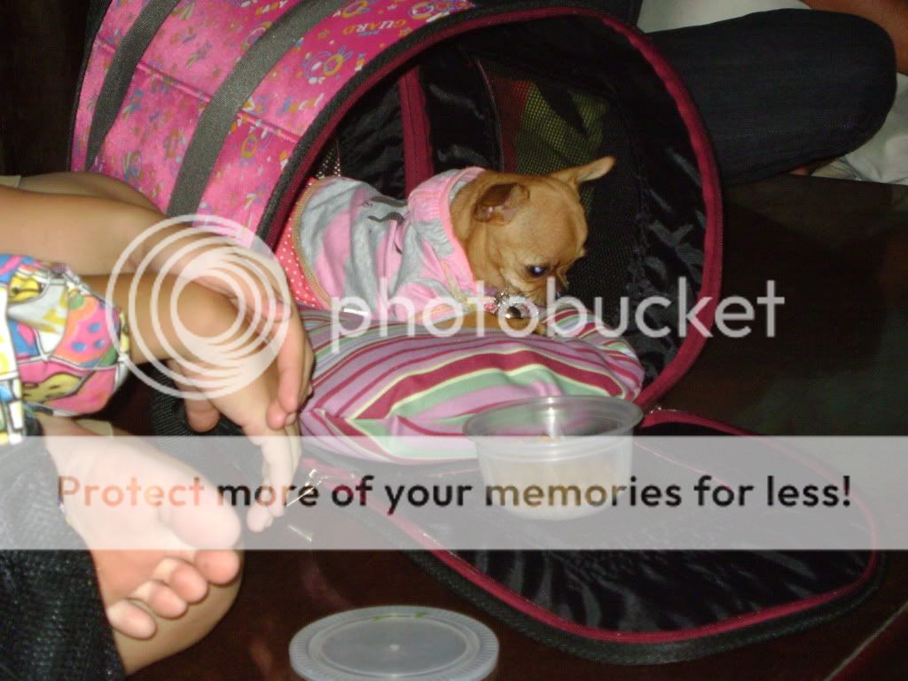 Tập tành chụp ảnh ^__^ - 6