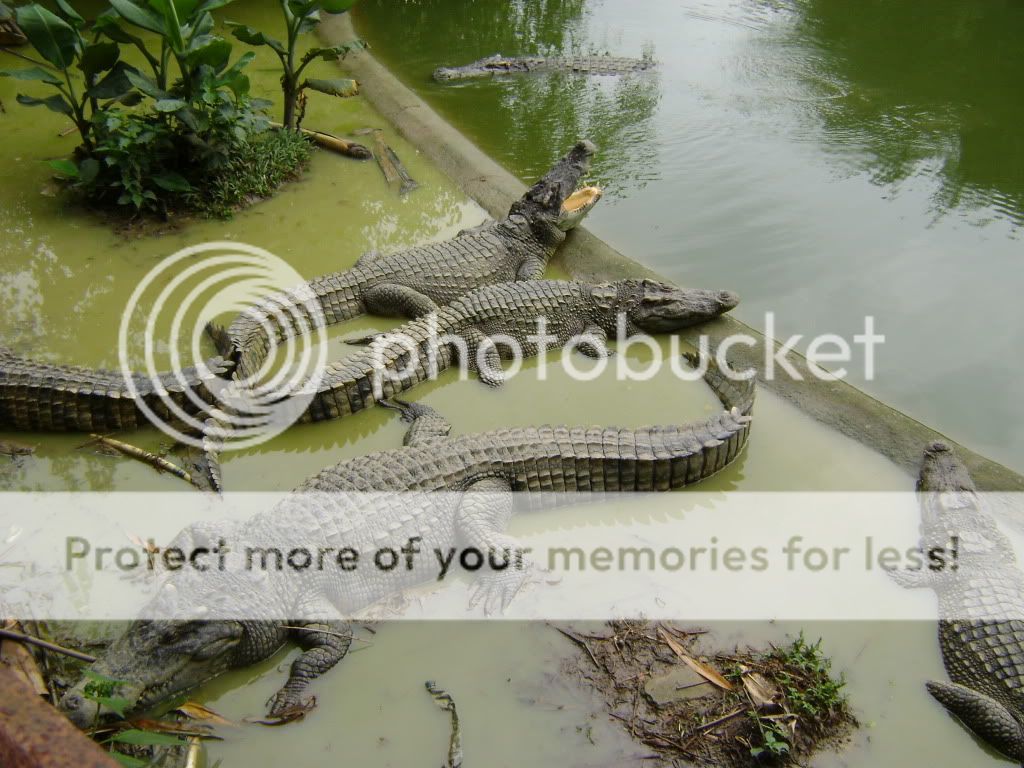 Tập tành chụp ảnh ^__^ - 2