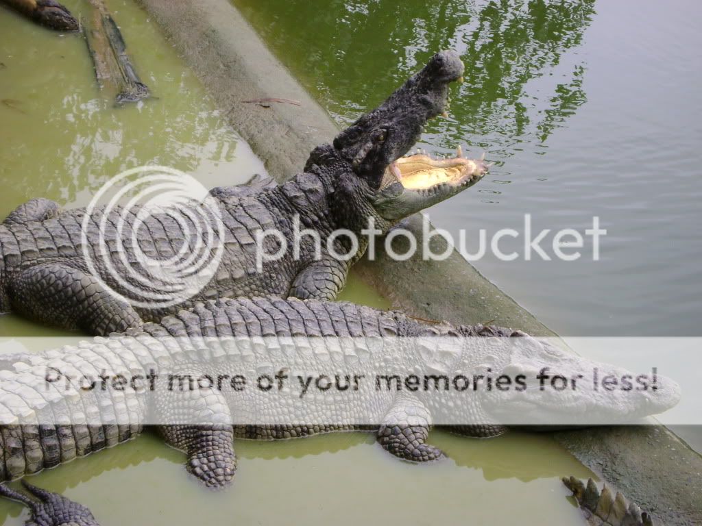 Tập tành chụp ảnh ^__^ - 1