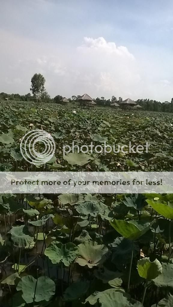 Tập tành chụp ảnh ^__^ - 3