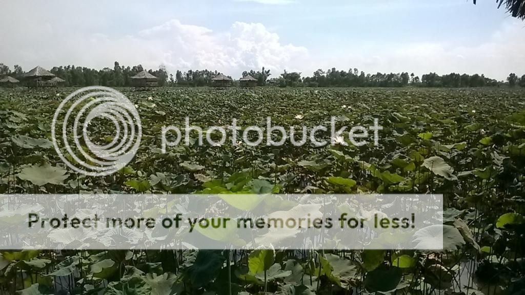 Tập tành chụp ảnh ^__^ - 2