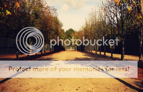Schlosspark Versailles Im Schlosspark Versailles