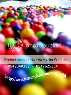 Anhso_net_51151_123201015021190_l_jpg_l.jpg?t=1299053207