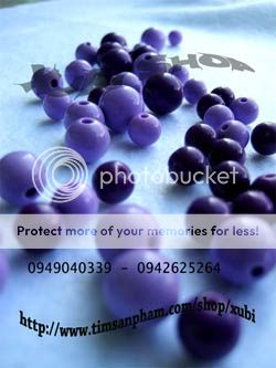 Anhso_net_51151_123201015023237_l_jpg_l.jpg?t=1299053207