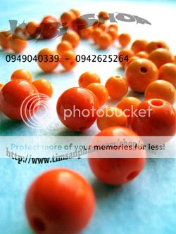 Anhso_net_51151_123201015026753_l_jpg_l.jpg?t=1299053207