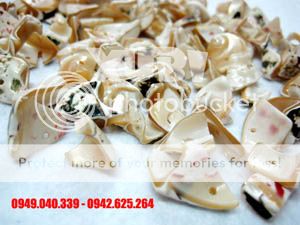 Anhso_net_51151_123201015036924_o.jpg?t=1299052944