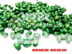 Anhso_net_51151_123201015039956_o.jpg?t=1299052523