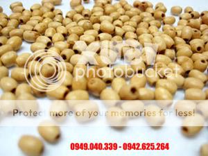 Anhso_net_51151_123201015040893_o.jpg?t=1299052523