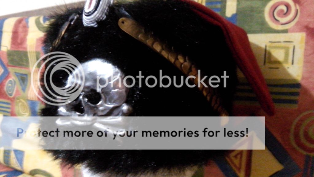 20151208_195558_zpsjamqdmbr.jpg